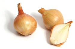onion_yellow_pearl Golden Yellow Pearl Onions