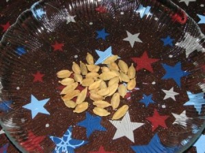 Elakka - Cardamom