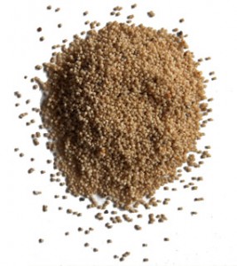 Kus Kus - Poppy seeds