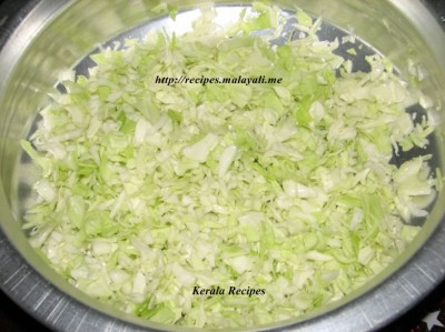 img_0699 Shredded Cabbage