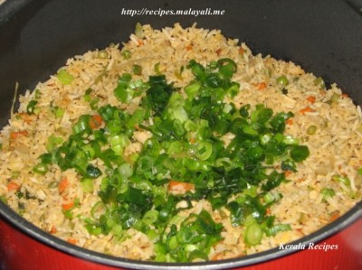 img_0760_wm Chicken Fried Rice garnished with spring onions