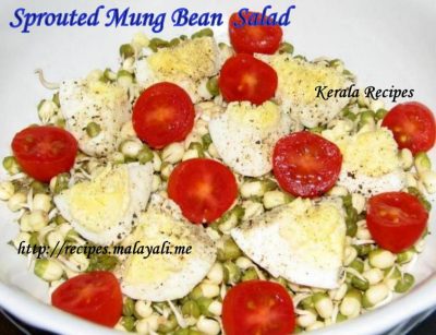 IMG_7681 Sprouted Mung Bean Salad