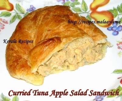 IMG_8497 Curried Tuna Apple Salad Sandwich