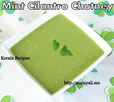 Mint Cilantro Chutney