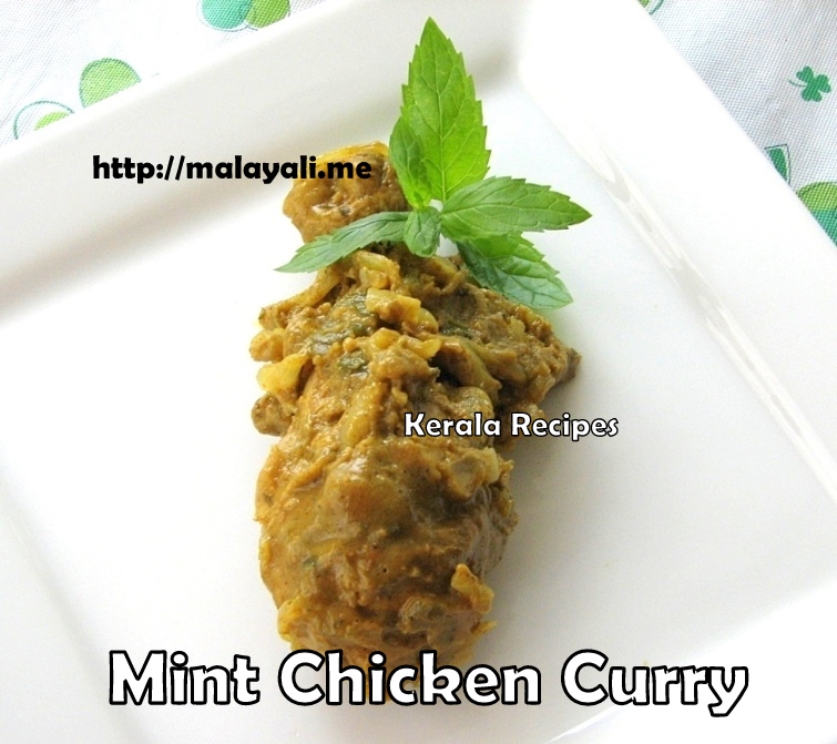 IMG_8079 Chicken Curry with Mint